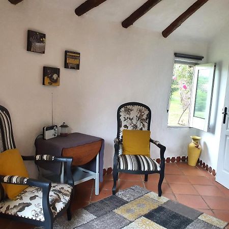 Le Clos D'Almide Monestier  Exteriér fotografie
