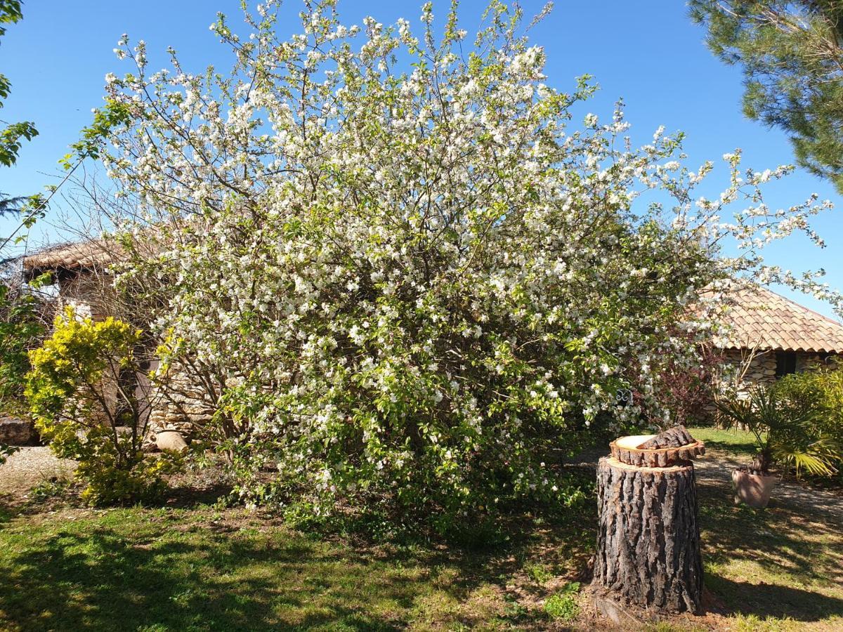 Le Clos D'Almide Monestier  Exteriér fotografie